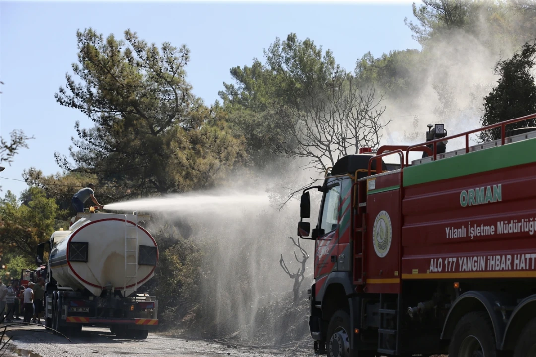 Muğla'nın Ortaca İlçesindeki Orman Yangını Kısa Sürede Kontrol Altına Alındı