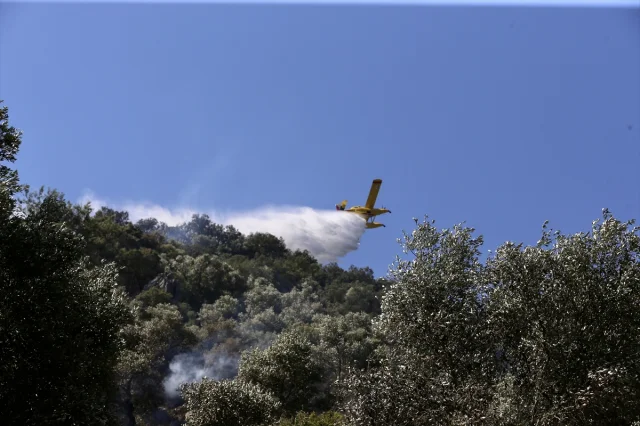 Muğla'nın Ortaca İlçesindeki Orman Yangını Kısa Sürede Kontrol Altına Alındı