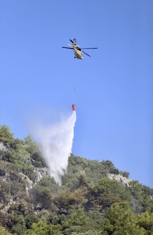Muğla'nın Ortaca İlçesindeki Orman Yangını Kısa Sürede Kontrol Altına Alındı