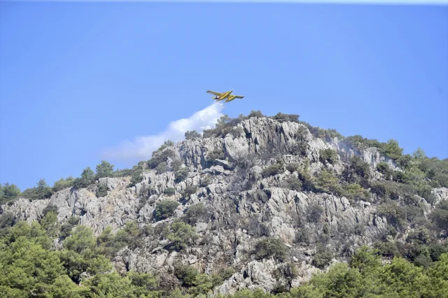 Muğla'nın Ortaca İlçesindeki Orman Yangını Kısa Sürede Kontrol Altına Alındı