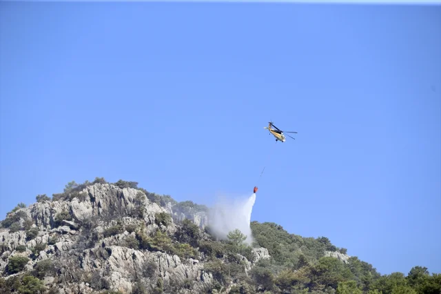 Muğla'nın Ortaca İlçesindeki Orman Yangını Kısa Sürede Kontrol Altına Alındı