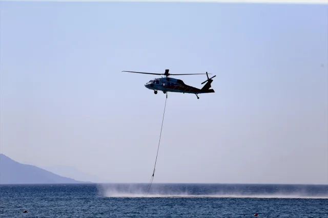 Muğla'nın Ortaca İlçesindeki Orman Yangını Kısa Sürede Kontrol Altına Alındı