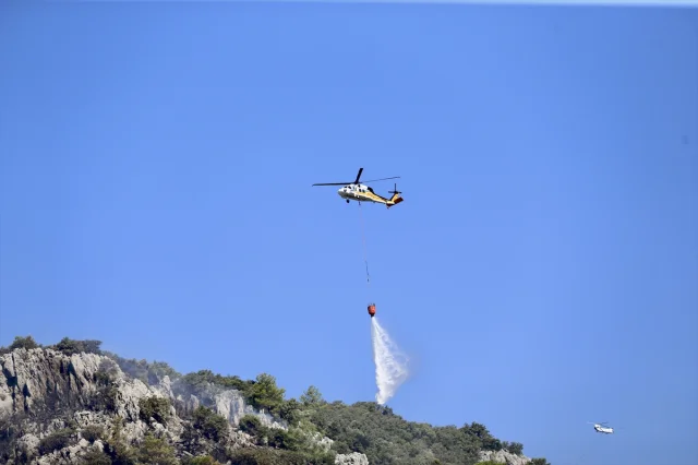 Muğla'nın Ortaca İlçesindeki Orman Yangını Kısa Sürede Kontrol Altına Alındı