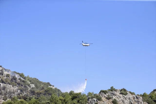 Muğla'nın Ortaca İlçesindeki Orman Yangını Kısa Sürede Kontrol Altına Alındı