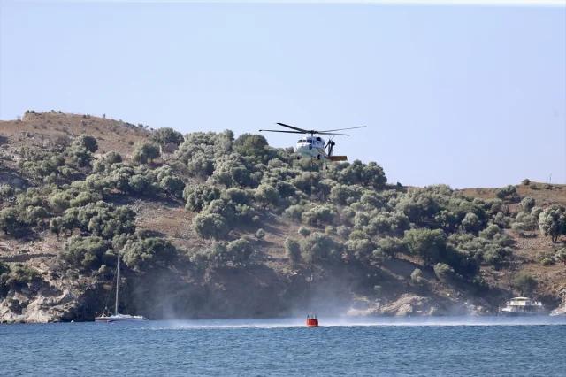 Muğla'nın Ortaca İlçesindeki Orman Yangını Kısa Sürede Kontrol Altına Alındı