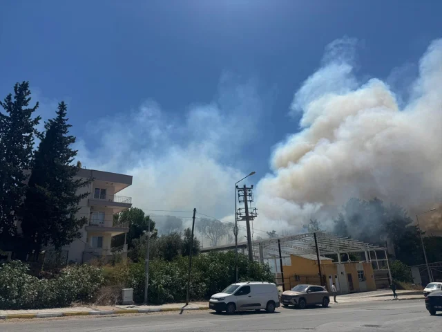 Antalya Aksu'da Başlayan Yangın Kontrol Altında