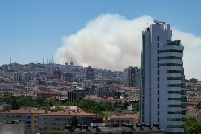 Ankara Eymir Gölü Çevresindeki Ormanda Yangın Büyüyor