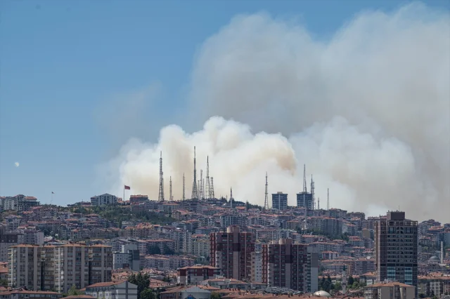 Ankara Eymir Gölü Çevresindeki Ormanda Yangın Büyüyor