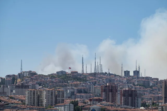 Ankara Eymir Gölü Çevresindeki Ormanda Yangın Büyüyor