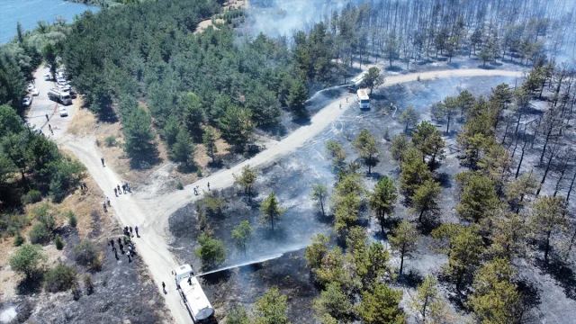 Ankara Eymir Gölü Çevresindeki Ormanda Yangın Büyüyor