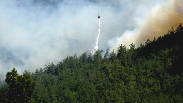 Safranbolu'da Orman Yangını Dördüncü Gününde Kontrol Altına Alınmaya Çalışılıyor