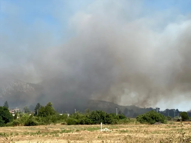 Serik'te Orman Yangınına Hızlı Müdahale Başladı
