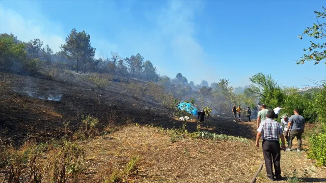 Zonguldak'ta Alevlerin Yükselişi: Fındıklık Yangını Ormanlık Alana Sıçradı