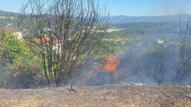 Zonguldak'ta Alevlerin Yükselişi: Fındıklık Yangını Ormanlık Alana Sıçradı
