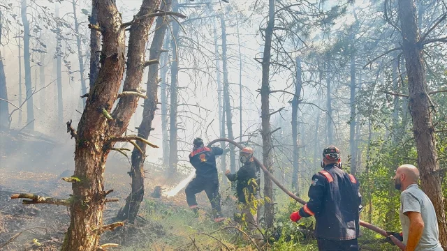Sakarya'nın Ormanlarında Çıkan Yangın Başarıyla Kontrol Altı...