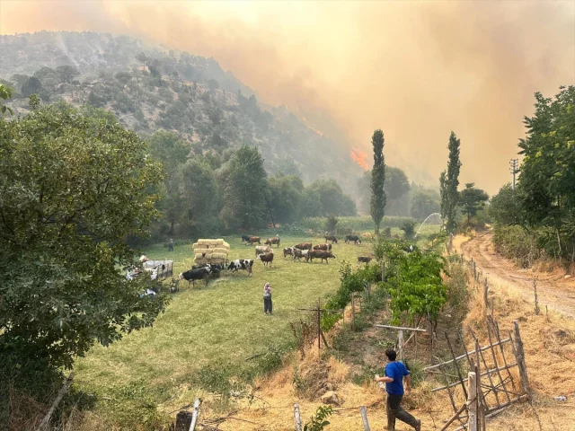 Uşak'ta Şiddetli Rüzgarın Yükselttiği Yangın Tehlikesi