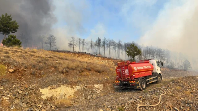 Bursa'da Alevlerle Mücadele: Orhaneli'deki Orman Yangını Kon...