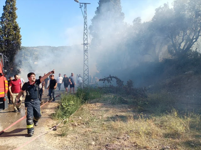 Kocaeli'nin Orman Yangınıyla Mücadelesi Devam Ediyor