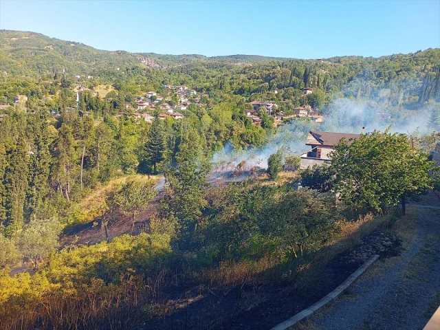 Kocaeli'nin Orman Yangınıyla Mücadelesi Devam Ediyor