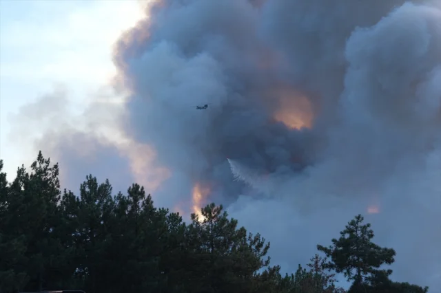 Bursa Orman Yangını ile Mücadelede Son Durum