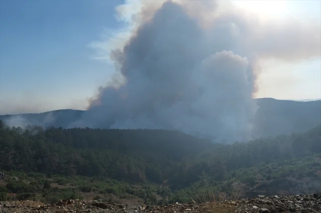 Bursa Orman Yangını ile Mücadelede Son Durum