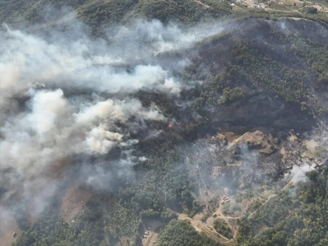 Sakarya'nın Ormanlarında Çıkan Yangın Başarıyla Kontrol Altına Alındı