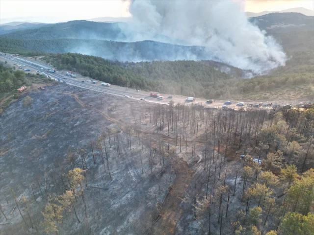 Bursa Orman Yangını ile Mücadelede Son Durum