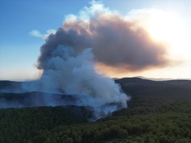 Bursa Orman Yangını ile Mücadelede Son Durum