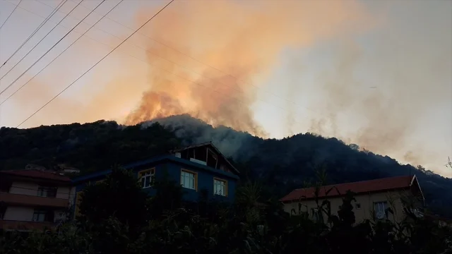 Zonguldak’ta Orman Yangınına Kapsamlı Müdahale
