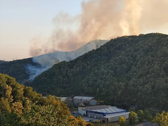 Zonguldak’ta Orman Yangınına Kapsamlı Müdahale