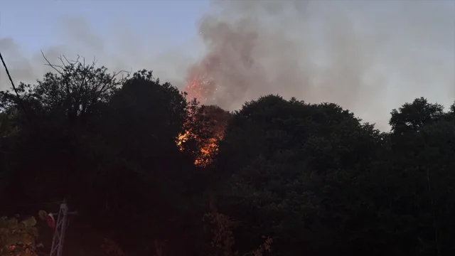 Zonguldak’ta Orman Yangınına Kapsamlı Müdahale