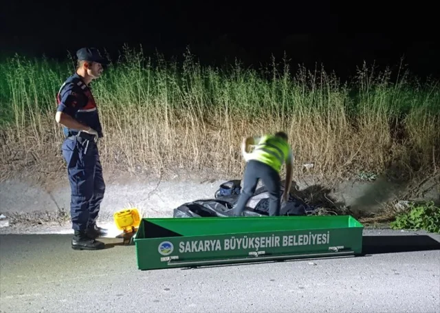 Sakarya'da Trajik Kaza: Karasu'da Yaya Hayatını Kaybetti