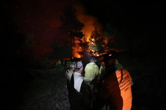 Bursa'da Orman Yangını Kontrol Altına Alındı Ancak Tehlike D...