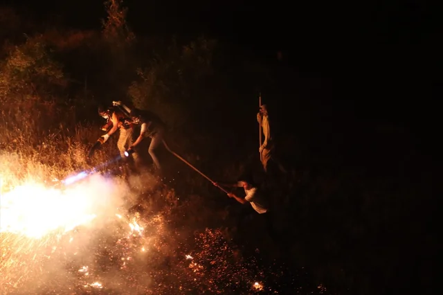 Bingöl'de Yapılan Hızlı Müdahale ile Orman Yangını Kontrol A...