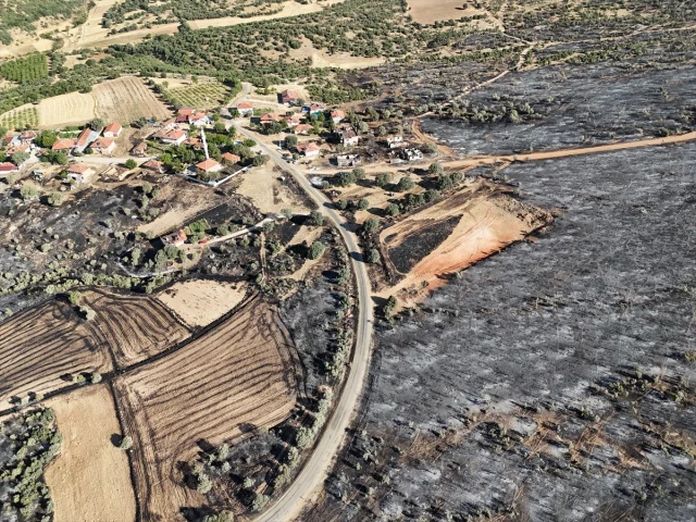 Uşak'ta Orman Yangını Kontrol Altına Alınmaya Çalışılıyor