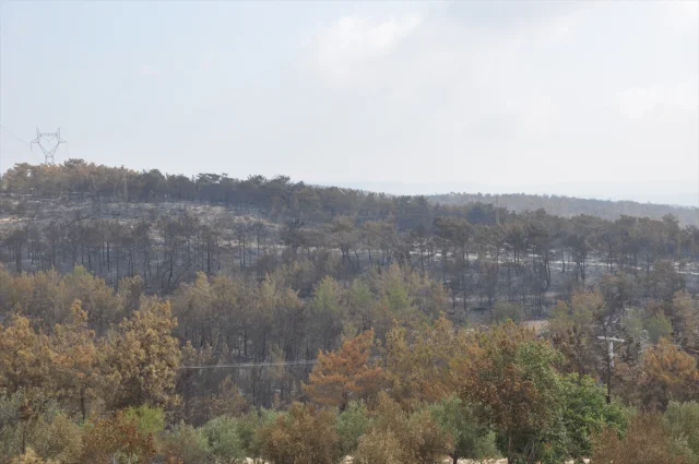 Silifke’de Büyük Mücadele ile Orman Yangını Kontrol Altında
