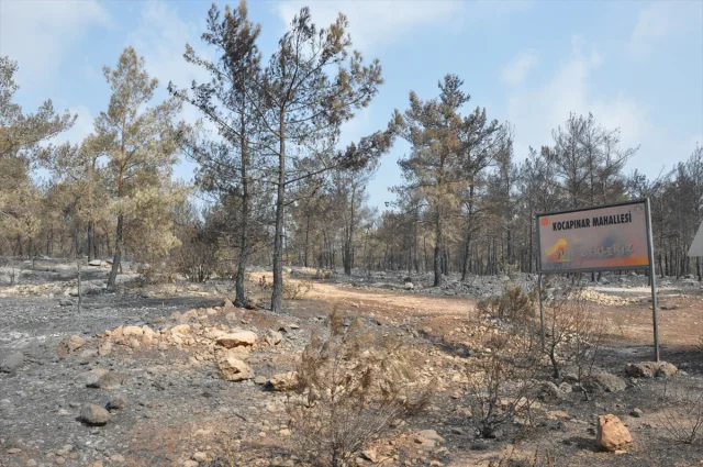 Silifke’de Büyük Mücadele ile Orman Yangını Kontrol Altında
