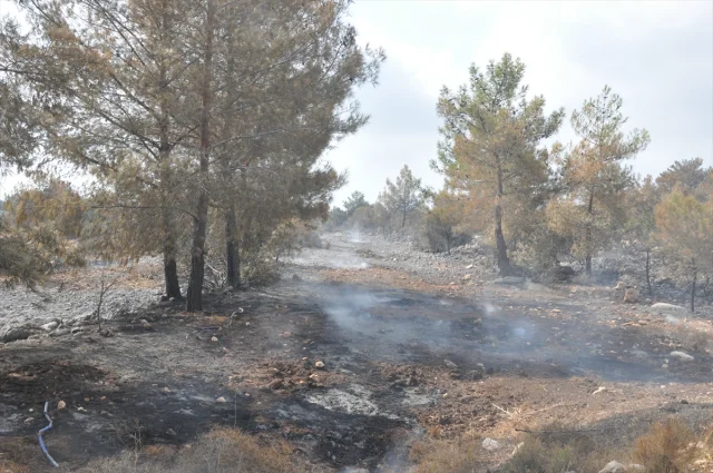 Silifke’de Büyük Mücadele ile Orman Yangını Kontrol Altında