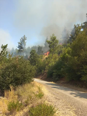 Muğla'da Orman Yangınıyla Mücadele Sürüyor