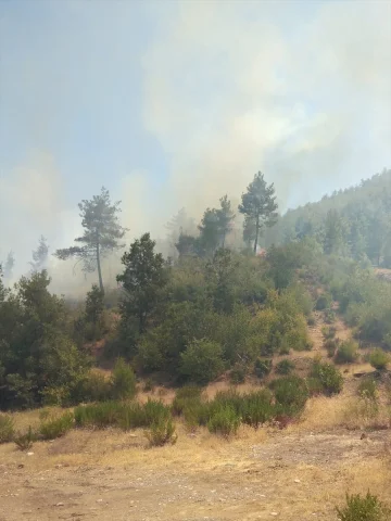 Muğla'da Orman Yangınıyla Mücadele Sürüyor