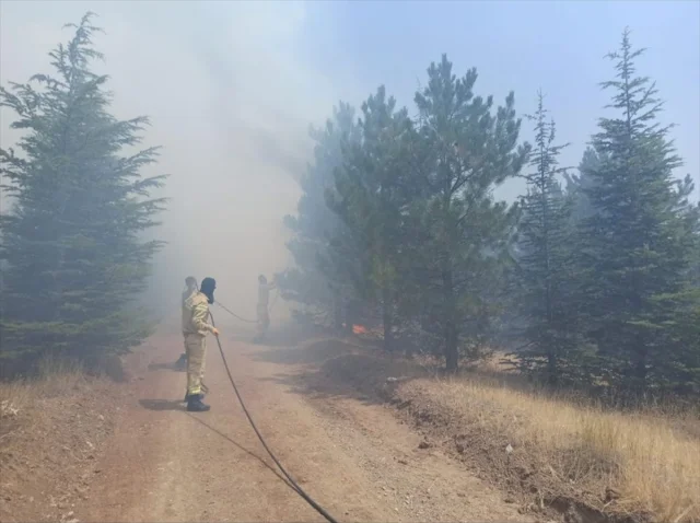 Malatya'nın Doğanşehir İlçesinde Çıkan Orman Yangını Başarıy...