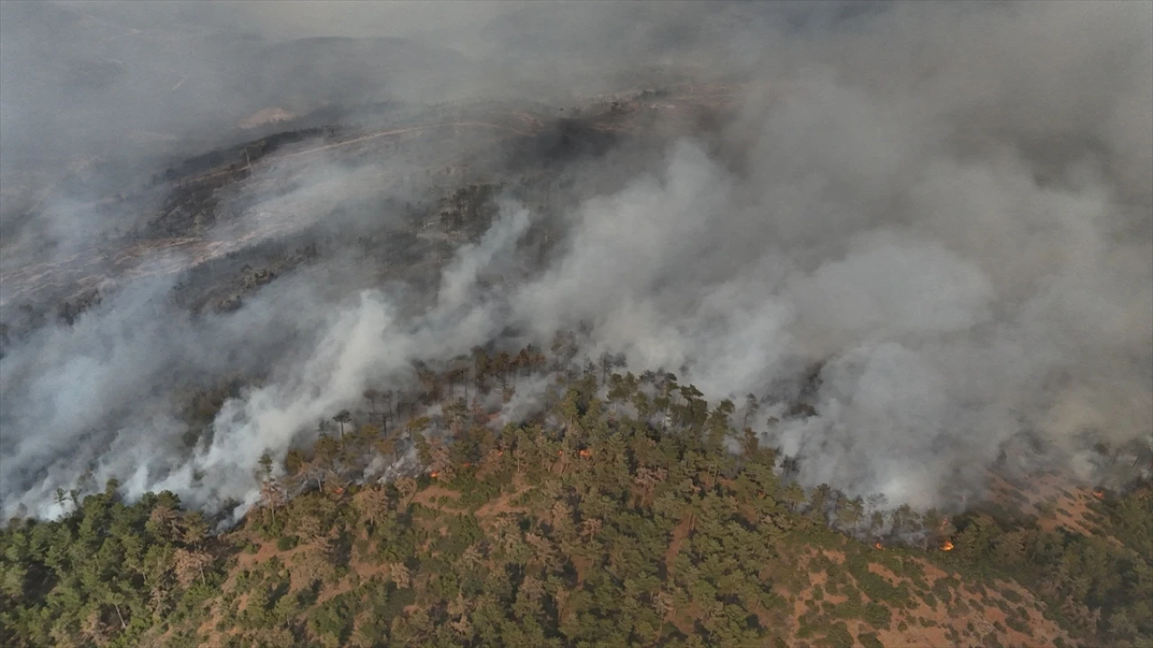 Bursa Orhaneli'de Orman Yangınına Karşı Yoğun Mücadele