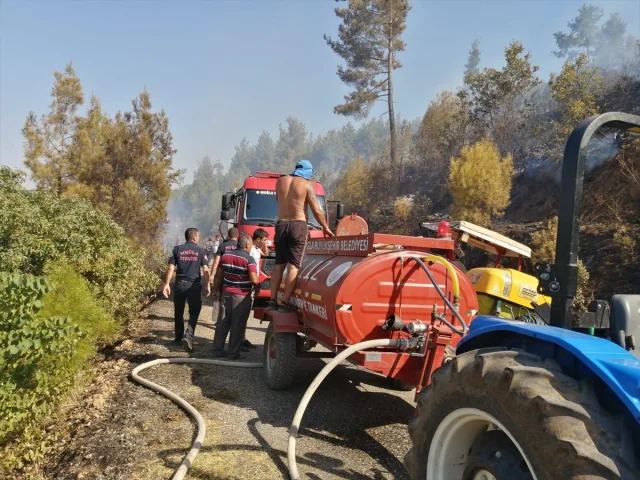 Muğla'daki Orman Yangını Mücadelesi Başarıyla Sonuçlandı