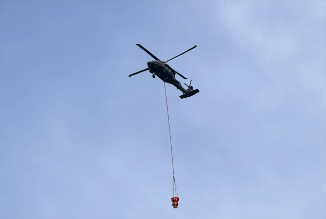 Bingöl'de Orman Yangınlarıyla Zorlu Mücadele