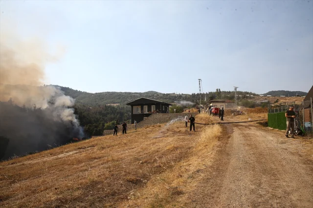 Bursa'da Orman Yangınıyla Mücadele Sürüyor: Ekipler Seferber Oldu