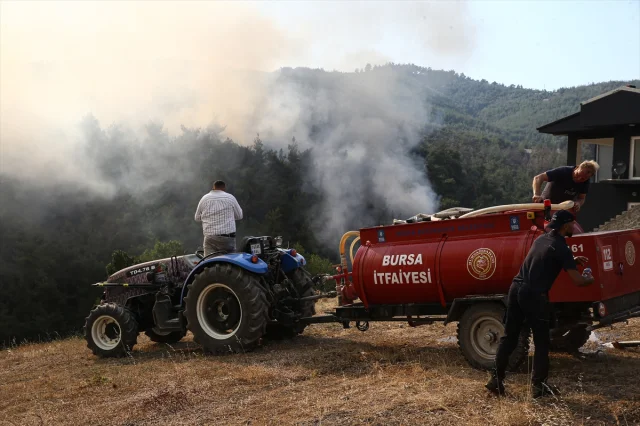 Bursa'da Orman Yangınıyla Mücadele Sürüyor: Ekipler Seferber Oldu