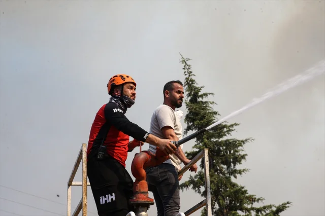Bursa'da Orman Yangınıyla Mücadele Sürüyor: Ekipler Seferber Oldu