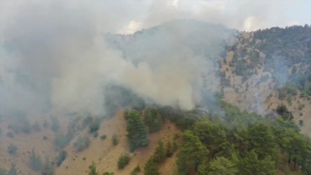 Kahramanmaraş Orman Yangınına Müdahale: 3. Günde Yoğun Çalış...