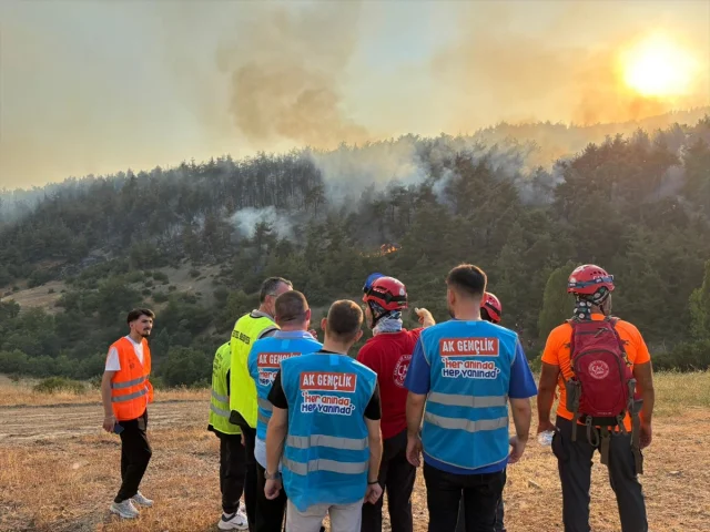 AK Parti Gençlik Kollarından Yangınlarla Mücadeleye Tam Dest...