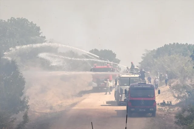 Kırklareli'nde Anız Yangını Krizi Geliyor: Ormanlık Alanda B...